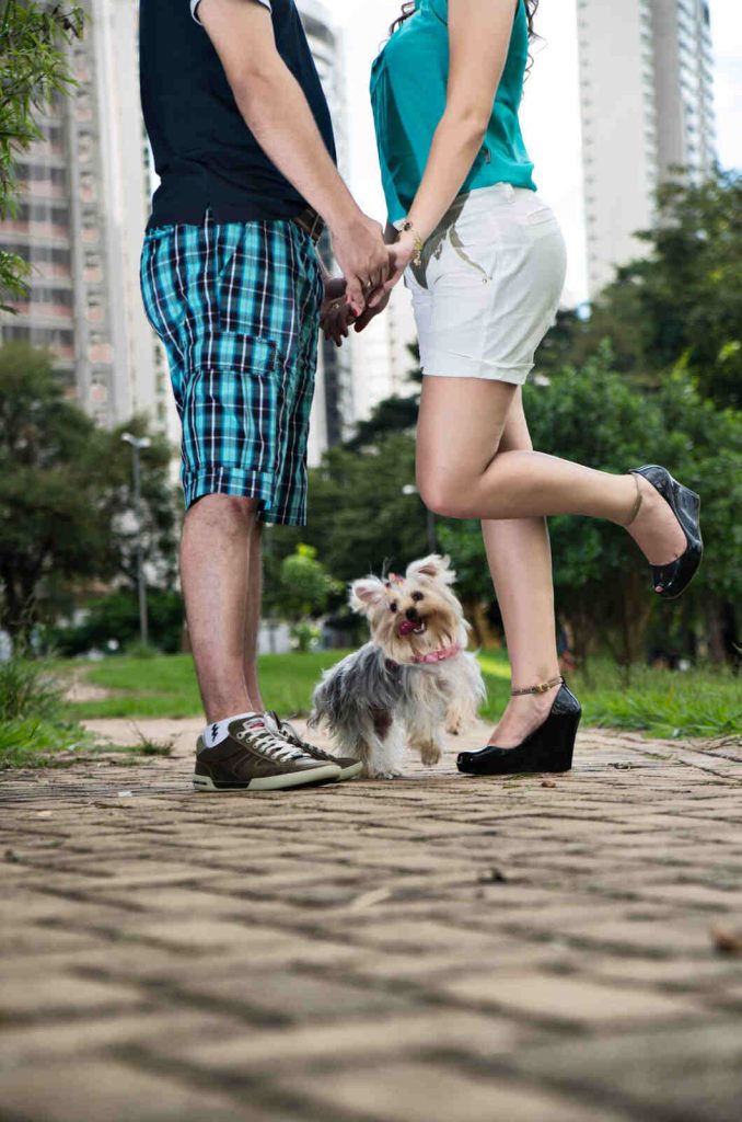 GaleriaPreWddingEstudyum 15 casamento em goiania - flavio monteiro