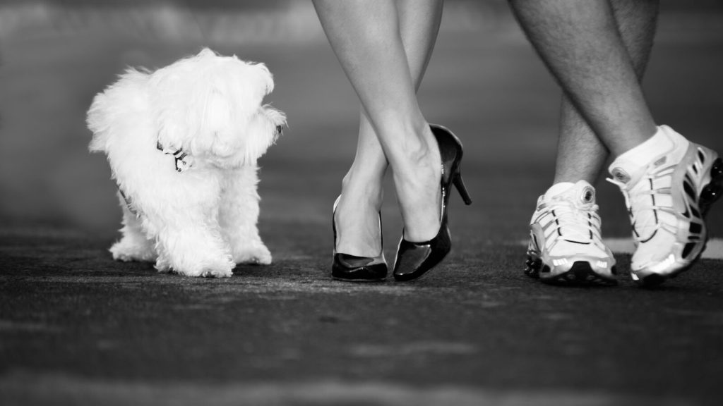 GaleriaPreWddingEstudyum 8 casamento em goiania - flavio monteiro