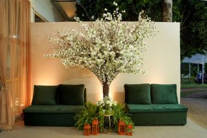 casam TeP 0261 casamento em goiania - flavio monteiro