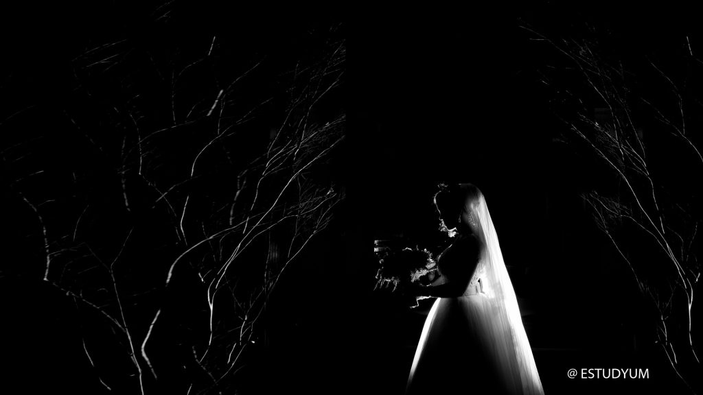 cer 0122 comamorfotografia casamento em goiania - flavio monteiro